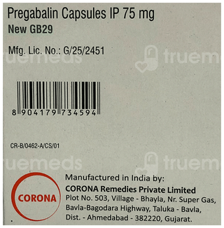 Gb29 New Capsule 15